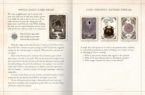 The Black Bird Oracle Deck: A 52-Card Deck and Guidebook – vue 8