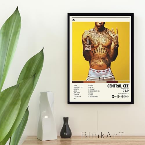 Image of BLINKART Central CEE Wall Photo Frames | Wall Art for Bedroom, Living Room, Studio or Office | Album Cover Print with Spotify Song Link QR Code | Gift for Fans - 8x12 In