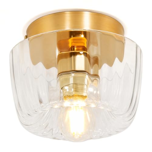 NICRX Plafón de Techo Cristal E27,Cableado fijo Lámpara,Transparente