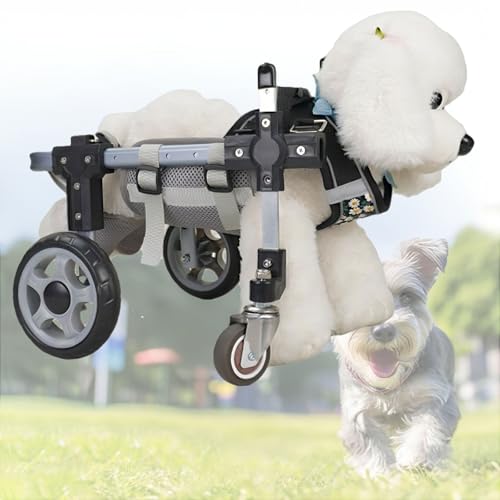 Silla de ruedas para perros con parálisis: carrito ajustable y ligero para patas traseras