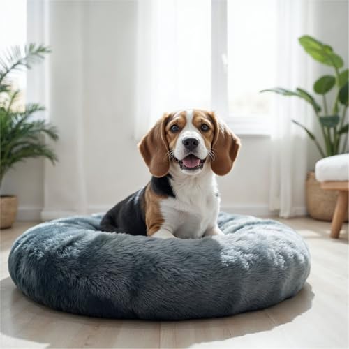 Image of WOW DOG Donut Bed for Dogs & Cats (Gray, M)