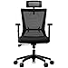 Produktbild OUSFOT Bürostuhl Ergonomisch Schreibtischstuhl mit verstellbarer Kopfstütze Armlehnen und atmungsaktiver Rückenlehne, Lordosenstütze, Rückenschonend, Drehstuhl Wippfunktion Bürostuhl 150kg, Schwarz