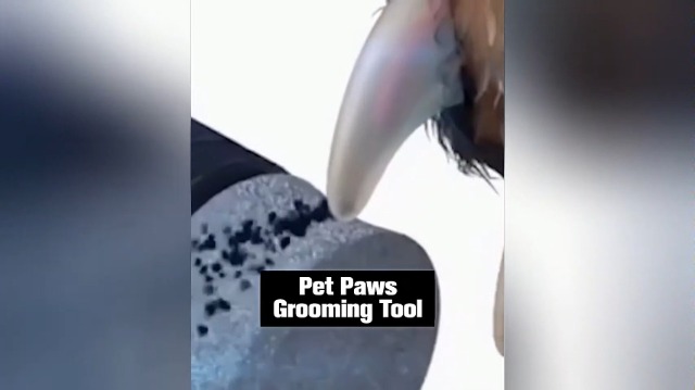 Upgraded Quiet Dog Nail Grinder - 2-Speed Rechargeable Pet Nail Trimmer with 2 Grinding Heads, Painless Grooming Tool for Small Medium Large Dogs & Cats - image 8