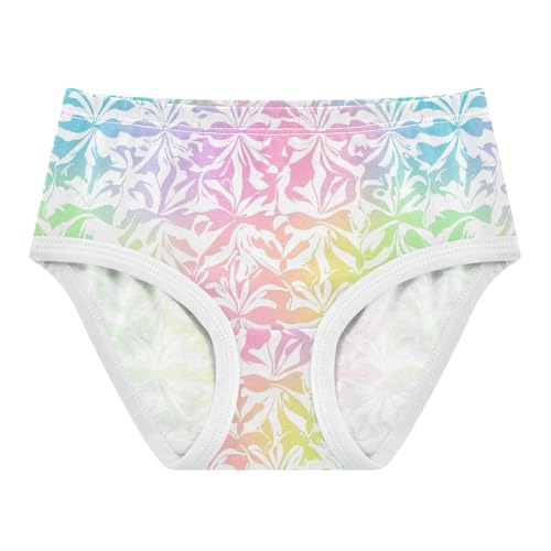 ZZKKO Ombre Colorful Floral Girls Underwear Toddler Panties for Girls Comfort Brief Size 2-8T