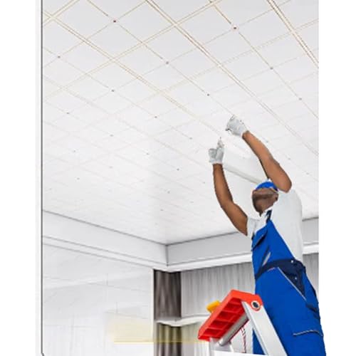 Paneles de Techo de PVC Impermeables para Pegar, 30 x 60 cm, 1, 5, 10, 15, 20, 30 y 40 Unidades, para baño, Cocina y sótano. Reemplazo de Techo suspendido Ligero (1 Unidad).