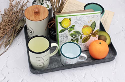 Funerom 13.8 X 9.8 Inchs Rectangle Galvanized Serving Tray With 3D Letters，Gray #TOP1
