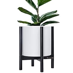 Matte White Pot + Ebony Stand