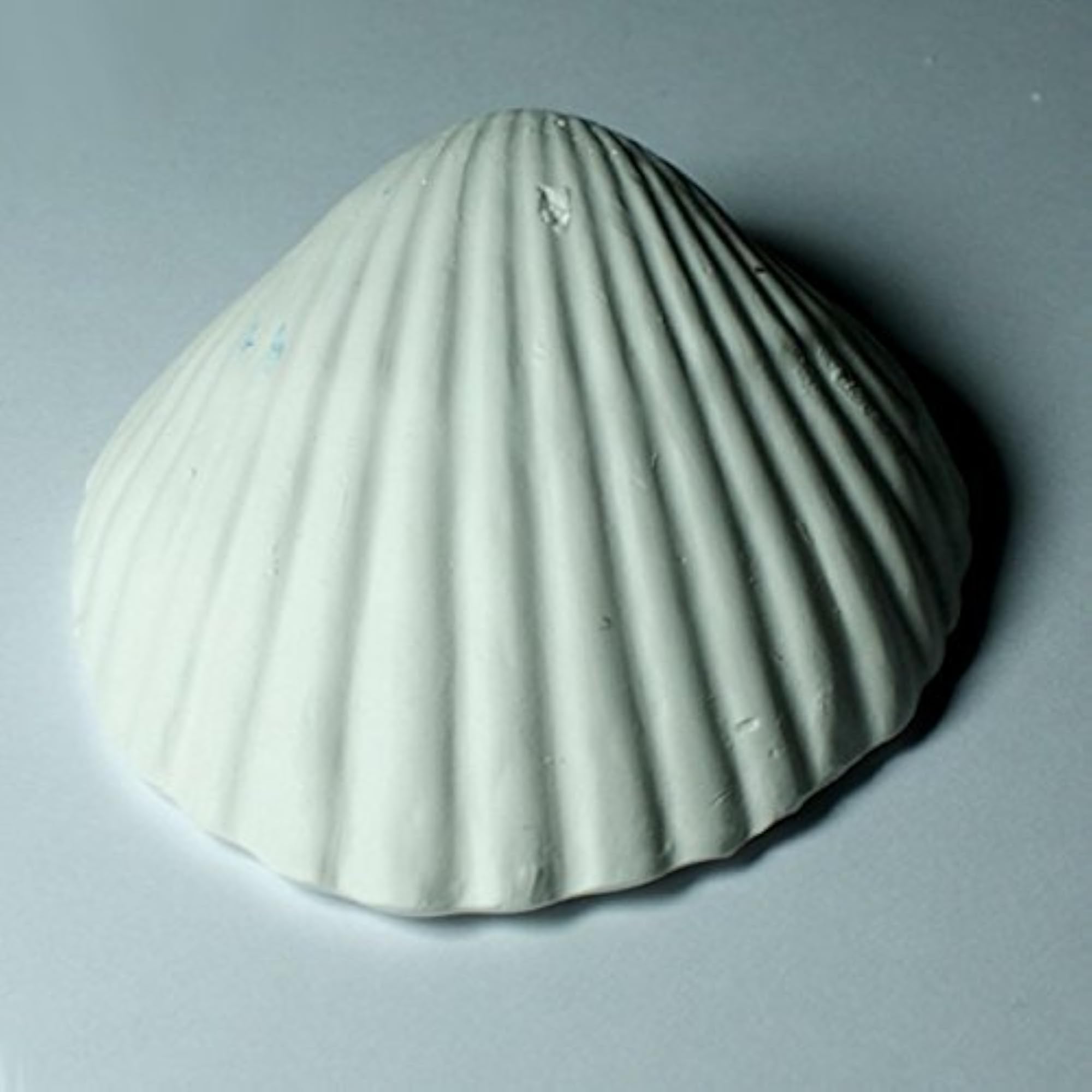Wonder Shell Natural Minerals, 30 Shells Pack