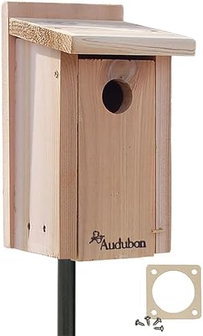 best birdhouses for mountain bluebirds that will surprise you 8 Audubon Cedar Bluebird House with Pole & Hole Protector – Durable Cedar Birdhouse with Mounting Bracket & Steel Guard – Complete Outdoor Nesting Box Kit for Bluebirds & Small Songbirds