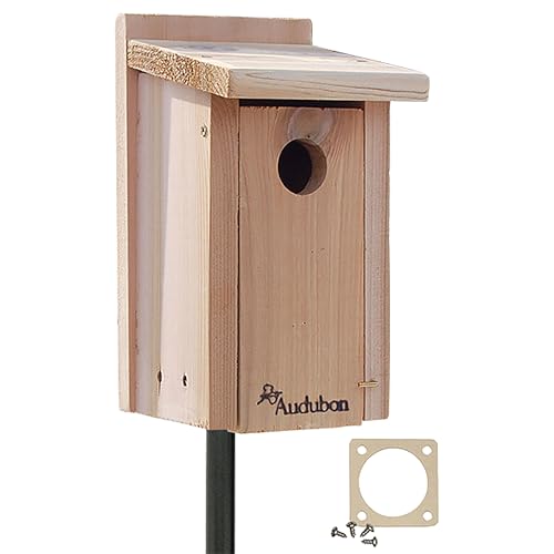 Audubon Cedar Bluebird House with Pole & Hole Protector – Durable Cedar Birdhouse with Mounting Bracket & Steel Guard – Complete Outdoor Nesting Box Kit for Bluebirds & Small Songbirds