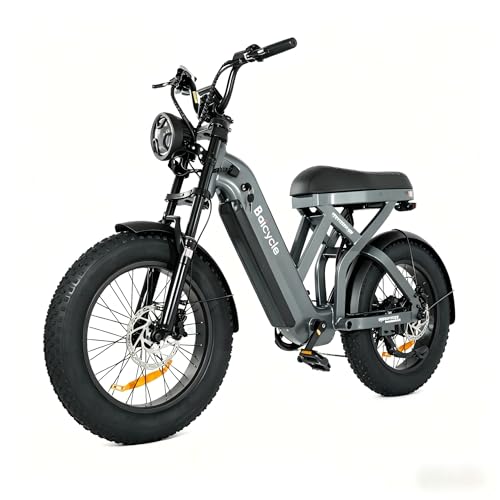 RYXERRA Baicycle Fat Tire Electric Bike for Adults, 1000W Peak