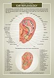 Ear Reflexology and EFT, Two Sided Color Information Chart