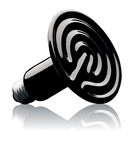 Exo Terra Ceramic Heater, keramischer Heizstrahler für Reptilien, 150W, Fassung E27, 250 g (1er Pack)