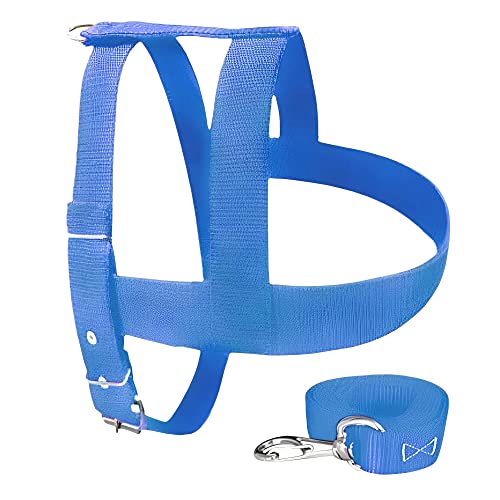 MY PET BRASIL Peitoral Para Cachorros N°5 Ajuste Fácil No Corpo Do Pet Dupla Simples Coleira Peitora