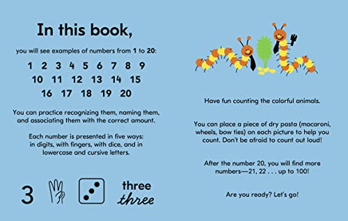 One Brown Bear: The World of Numbers - image 3