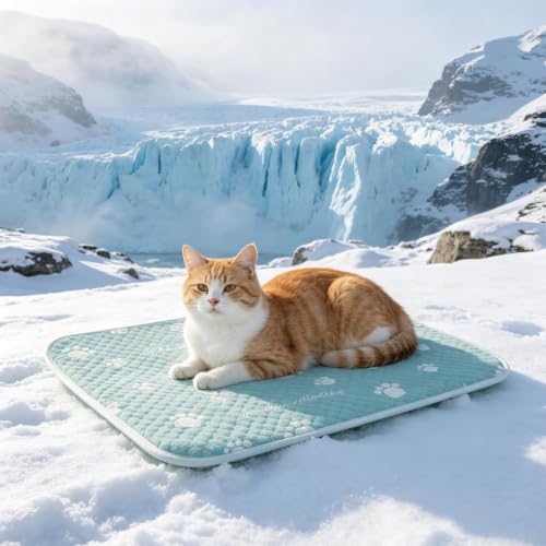 Esterilla refrescante para mascotas transpirable y lavable con base antideslizante 4
