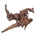 emours Aquarium Driftwood Fish Tank Decoration (XLarge(11 to 14 inches in Length))