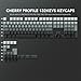 Rainy75 PBT Key caps, Double Shot Shine Through Custom Keycaps, Gradient Keycaps Cherry Profile, Minimalist Style Keyboard Keycap for Mechanical Keyboard (Grey)