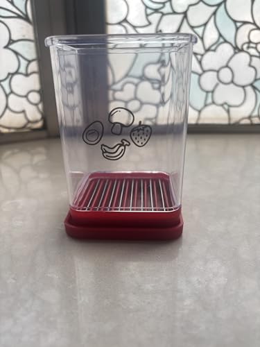 CSSLBHYHPortable Kitchen Slicing Tool, Stainless Steel Vegetable Cutting Gadget, Speed Cutter for Strawberry, Banana, Grape, Egg (1 pcs)