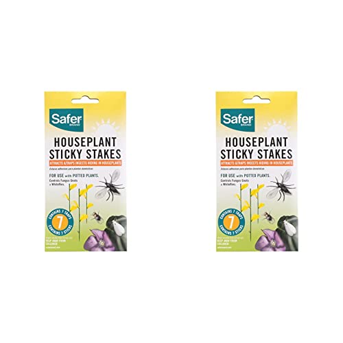 Safer Brand 5026 Houseplant Sticky Stake Insect Traps For Indoor Plants - Controls Fungus Gnats, Whiteflies, Midges, Thrips, Fruit Flies, And Black Flies - 2 Pack, 7 Traps #TOP19