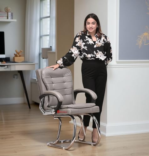 Image of Stainless Steel Special Director Principal Manager Office Visitor Study Chair with Arm Rest with Double Pipe Frame and Cushioned Seat Back (1, Grey, Double Pipe Frame)