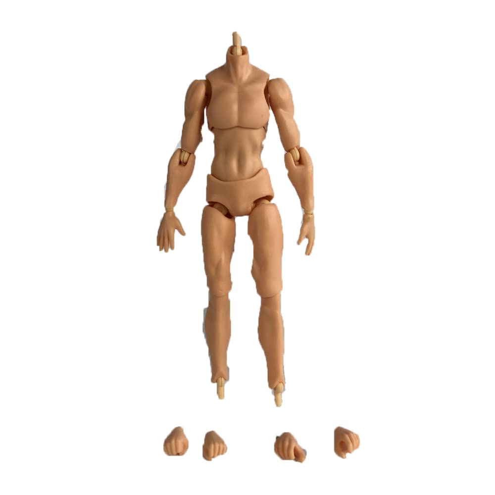Amazon.com: i8 TOYS DT Company 1/12 Scale 6 inch Action Undressing