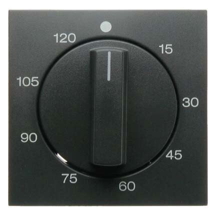 Hager - Central plate timer control 2041b1/b3 metallic/anthracite