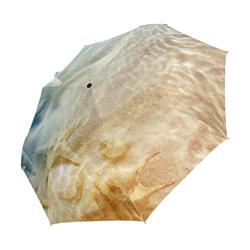 Preisvergleich Produktbild Reise-Regenschirm, faltbar, Seestern, Muscheln, Strand, Kunst-Sonnenschutz, winddicht, regendicht, tragbar, automatischer Sonnenschirm