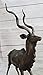 Signed Original Milo Wildlife Animal African Kudu Bronze Sculpture Statue Decor Gift Home Sale Decor by Think Bronze