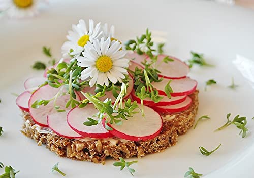 Lot de 500 Graines de Cresson de Jardins - Facile à cultiver - A consommer en Potage - Qualité Gustative - Riche en vitamines - Garantie Germination - Semences 100% Françaises et Reproductibles – vue 5