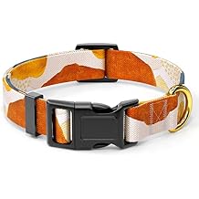 Rnivvi Dog Collar for Small Dogs, Cute Heavy Duty Adjustable Puppy Collar with Quick Release Buckle for Boy Girl & Female, Pet Accessories for Walking Running, XS Length 5/8" Width, Abstract Art
