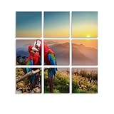 Impression sur toile encadrée de perroquets aras rouges et bleus pour salon, chambre à coucher