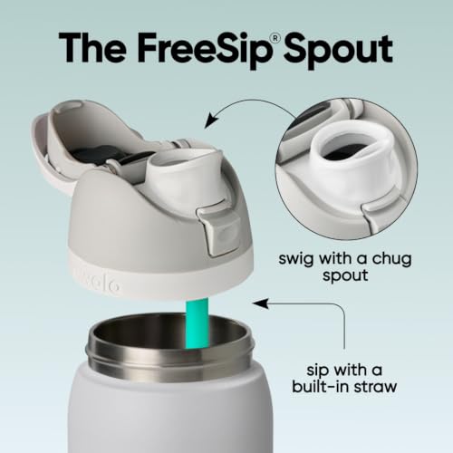 Image of Owala FreeSip Insulated Stainless Steel Water Bottle with Straw for Sports and Travel, BPA-Free, 32oz, Foggy Tide