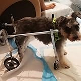 Photo Gallery carrozzina per cani carrello di mobilità per cani per le zampe posteriori, xxxs - l cane sedia a rotelle assistere piccoli grandi animali domestici per recuperare a piedi, carrozzina per cani anziani Photo Gallery carrozzina per cani carrello di mobilità per cani per le zampe posteriori, xxxs - l cane sedia a rotelle assistere piccoli grandi animali domestici per recuperare a piedi, carrozzina per cani anziani