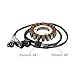 WOOSTAR 18 Coil 3 Wire Magneto Stator Replacement for 2008-2011 KVF750 Brute Force 750 4x4i OEM 21003-0071 21003-0099 21003-0077