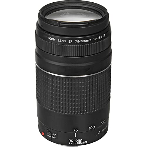 Canon EOS R6 Cámara Sin Espejo miniatura 4