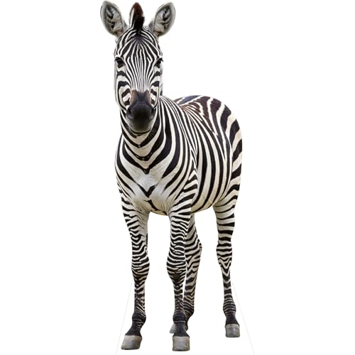 Image of 2FT Zebra Life Size Cardboard Cutout Standup for Party Decor | Zebra Cardboard Cutout Standup, 1 PC, for Events, Birthday, Photos, Party Decoration, Weddings, Holidays, Gifting