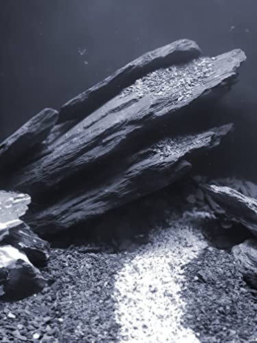Natural Slate Aquarium Stones - Extra Large 8 To 10 Inch. Ph Neutral. Perfect For Aquascaping And Igwami Aquariums, Nano Tanks And Reptile And Amphibian Enclosures (Approx 16-18 Lbs) #TOP2