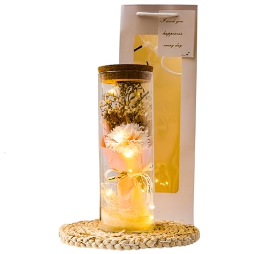 [Caividom]vU[uht[  {  ̂悤 ͂Ȃ  ybg t[ AWg  TCY RpNg 㕧d CG[  Q   茳{  {iI  El  KX h[