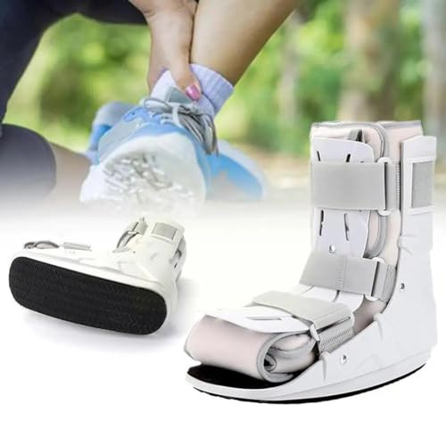 u[XܐEH[LOV[Y̑Pӂ͂ALXFf􃊃nre[V܌ŒubN C9R5