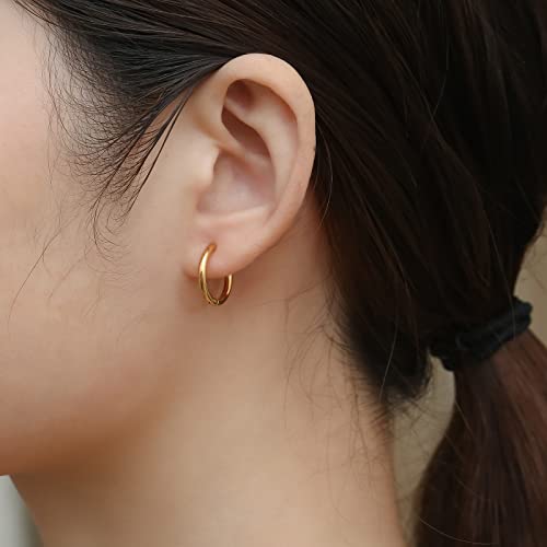 Image of 316L Surgical Stainless Steel Small Hoop Earrings 8mm 10mm 12mm 14mm Hypoallergenic Huggie Hoop Earrings Helix Lobes Hinged Sleeper Earrings Men Women for Cartilage Piercings