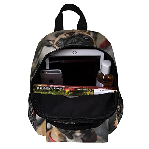 Sac à dos pour enfants idéal pour l'école et les sorties de week-end - 5