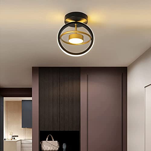 Decoración dorada con lámpara de araña negra de luz expandida 5