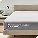 Bare Home Fitted Bottom Sheet Queen - Premium 1800 Microfiber - Ultra-Soft Wrinkle Free - Deep Pocket - Fitted Sheet (Queen, Light Grey)