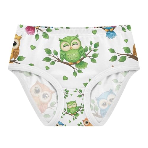 Underwear for Girls, Cute Cartoon Owls Colorful Toddler Girl Briefs, Cotton Girls Underwear, 2T–8 Years