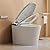 AKNIRL Smart Toilet Auto/Open Close Lid with Booster Pump, Auto Powerful Flush, Heated Seat,Warm Water, Air Dryer, Deodorization, Modern Smart Toilets for Bathrooms, White, Y001ZP