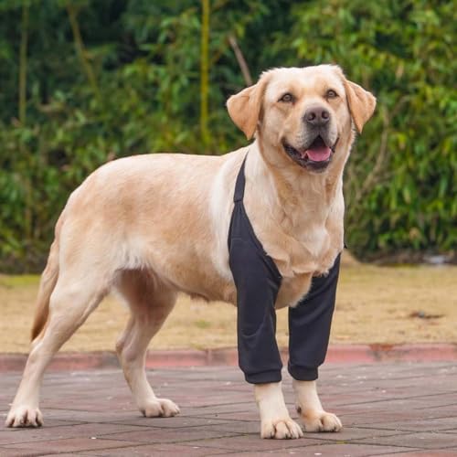 QEDBOJE Hundebeinschutz, Ellenbogenbandage Hund, verhindert das Lecken von Wunden, hilft bei Arthritis (für mittelgroße und große Hunde)