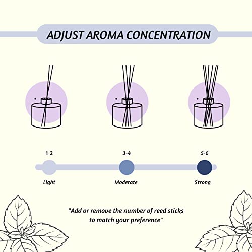 Folkulture-Reed-Diffusers-for-Home-Scent-Diffusers-for-Home-Set-of-3-with-Reed-Diffuser-Sticks-51-fl-oz-Reed-Diffuser-for-Bathroom-Aroma-Diffuser-for-Guest-Bathroom-Essentials-Mint-Balsam Folkulture Reed Diffusers for Home Scent Diffusers for Home Set of 3 with Reed Diffuser Sticks 51 fl oz Reed Diffuser for Bathroom Aroma Diffuser for Guest Bathroom Essentials Mint Balsam