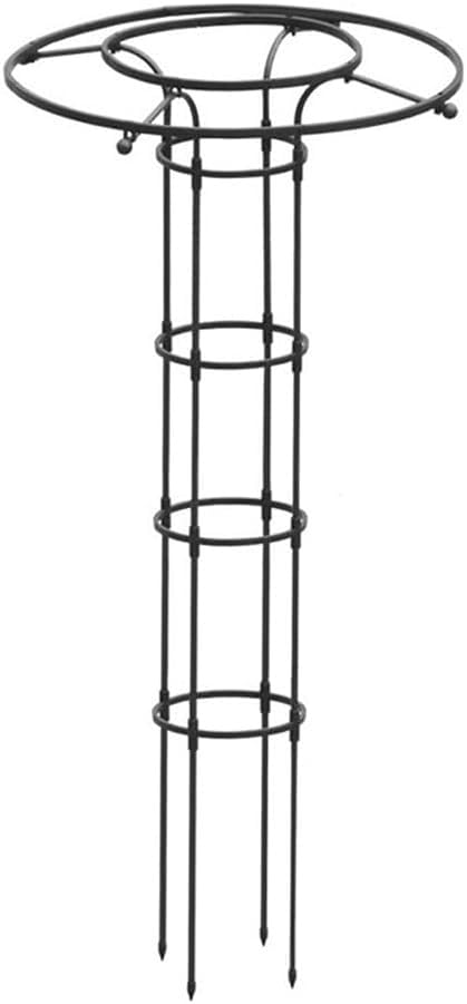 Marco floral vertical decorativo para terrazas y patios con enredaderas