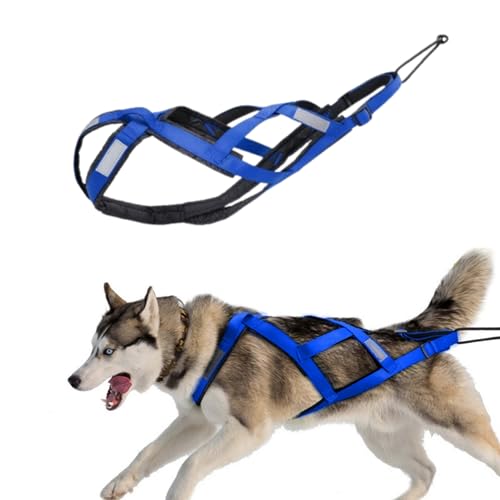 SOYUZERISH Schlittenhundegeschirr Hundeschlittengeschirr Haustiergewicht Ziehen Schlittengeschirr Mushing X-Back Geschirr for große Hunde Husky Canicross Skijöring Scootering (Blau, L)